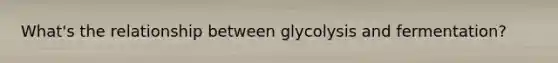 What's the relationship between glycolysis and fermentation?