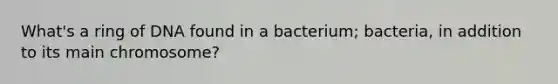 What's a ring of DNA found in a bacterium; bacteria, in addition to its main chromosome?