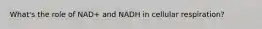 What's the role of NAD+ and NADH in cellular respiration?