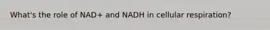 What's the role of NAD+ and NADH in cellular respiration?