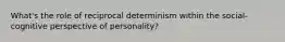 What's the role of reciprocal determinism within the social-cognitive perspective of personality?