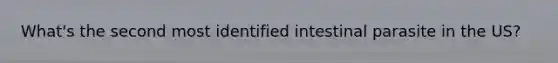 What's the second most identified intestinal parasite in the US?