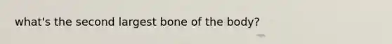 what's the second largest bone of the body?