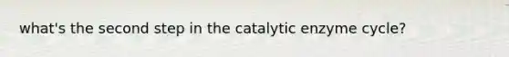 what's the second step in the catalytic enzyme cycle?