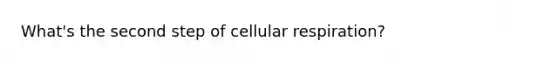 What's the second step of <a href='https://www.questionai.com/knowledge/k1IqNYBAJw-cellular-respiration' class='anchor-knowledge'>cellular respiration</a>?