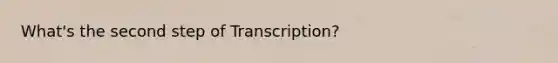 What's the second step of Transcription?