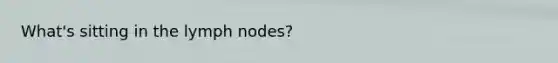 What's sitting in the lymph nodes?