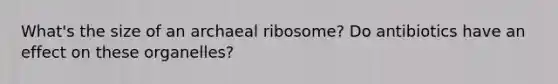 What's the size of an archaeal ribosome? Do antibiotics have an effect on these organelles?