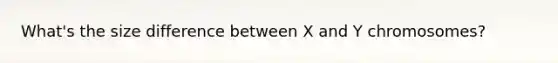 What's the size difference between X and Y chromosomes?