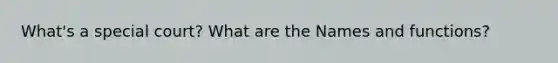 What's a special court? What are the Names and functions?