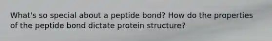 What's so special about a peptide bond? How do the properties of the peptide bond dictate protein structure?