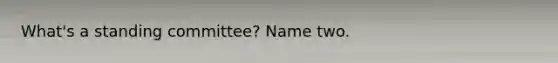 What's a standing committee? Name two.