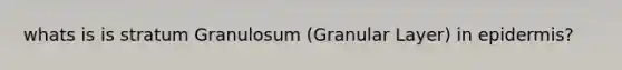 whats is is stratum Granulosum (Granular Layer) in epidermis?