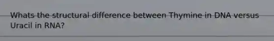 Whats the structural difference between Thymine in DNA versus Uracil in RNA?