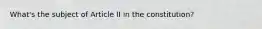 What's the subject of Article II in the constitution?