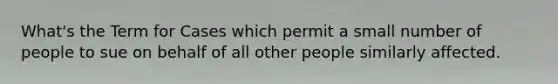 What's the Term for Cases which permit a small number of people to sue on behalf of all other people similarly affected.