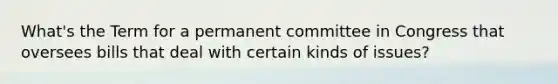 What's the Term for a permanent committee in Congress that oversees bills that deal with certain kinds of issues?