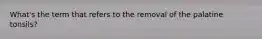 What's the term that refers to the removal of the palatine tonsils?