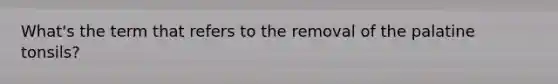 What's the term that refers to the removal of the palatine tonsils?