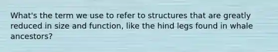 What's the term we use to refer to structures that are greatly reduced in size and function, like the hind legs found in whale ancestors?