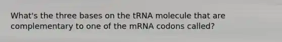 What's the three bases on the tRNA molecule that are complementary to one of the mRNA codons called?