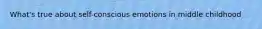 What's true about self-conscious emotions in middle childhood
