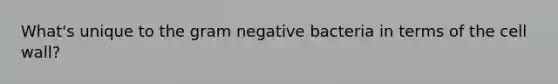 What's unique to the gram negative bacteria in terms of the cell wall?