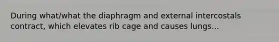 During what/what the diaphragm and external intercostals contract, which elevates rib cage and causes lungs...