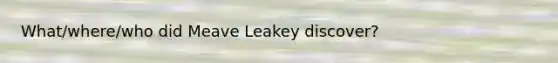 What/where/who did Meave Leakey discover?