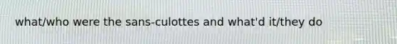 what/who were the sans-culottes and what'd it/they do