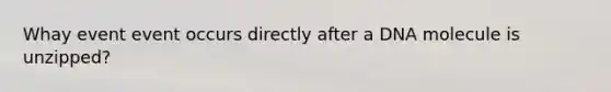 Whay event event occurs directly after a DNA molecule is unzipped?