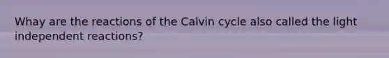 Whay are the reactions of the Calvin cycle also called the light independent reactions?