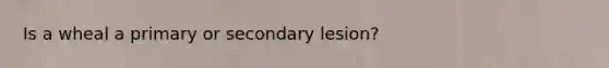 Is a wheal a primary or secondary lesion?