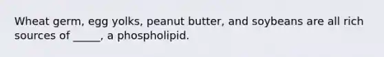 Wheat germ, egg yolks, peanut butter, and soybeans are all rich sources of _____, a phospholipid.