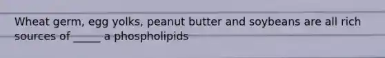 Wheat germ, egg yolks, peanut butter and soybeans are all rich sources of _____ a phospholipids