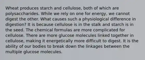 Wheat produces starch and cellulose, both of which are polysaccharides. While we rely on one for energy, we cannot digest the other. What causes such a physiological difference in digestion? It is because cellulose is in the stalk and starch is in the seed. The chemical formulas are more complicated for cellulose. There are more glucose molecules linked together in cellulose, making it energetically more difficult to digest. It is the ability of our bodies to break down the linkages between the multiple glucose molecules.