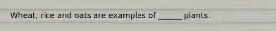 Wheat, rice and oats are examples of ______ plants.