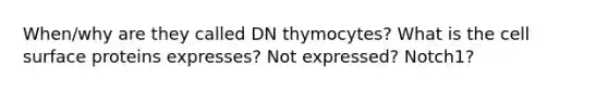 When/why are they called DN thymocytes? What is the cell surface proteins expresses? Not expressed? Notch1?