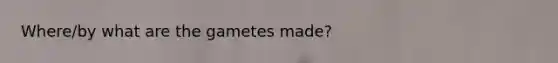 Where/by what are the gametes made?