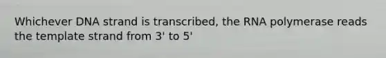 Whichever DNA strand is transcribed, the RNA polymerase reads the template strand from 3' to 5'