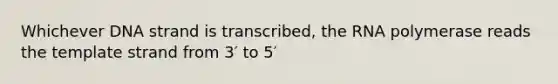 Whichever DNA strand is transcribed, the RNA polymerase reads the template strand from 3′ to 5′