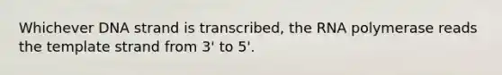 Whichever DNA strand is transcribed, the RNA polymerase reads the template strand from 3' to 5'.