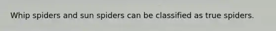 Whip spiders and sun spiders can be classified as true spiders.