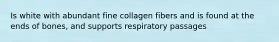 Is white with abundant fine collagen fibers and is found at the ends of bones, and supports respiratory passages