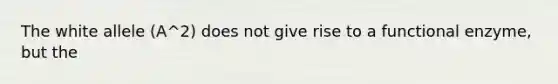 The white allele (A^2) does not give rise to a functional enzyme, but the