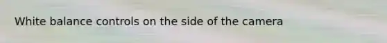 White balance controls on the side of the camera