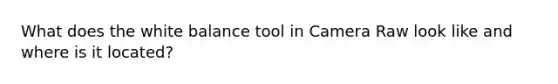 What does the white balance tool in Camera Raw look like and where is it located?