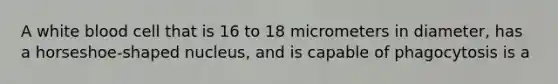 A white blood cell that is 16 to 18 micrometers in diameter, has a horseshoe-shaped nucleus, and is capable of phagocytosis is a