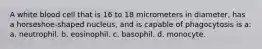 A white blood cell that is 16 to 18 micrometers in diameter, has a horseshoe-shaped nucleus, and is capable of phagocytosis is a: a. neutrophil. b. eosinophil. c. basophil. d. monocyte.