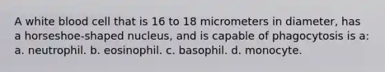 A white blood cell that is 16 to 18 micrometers in diameter, has a horseshoe-shaped nucleus, and is capable of phagocytosis is a: a. neutrophil. b. eosinophil. c. basophil. d. monocyte.